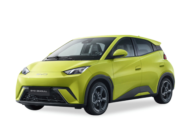 מגן לממיר קטליטי לBYD דולפין סרף ‏