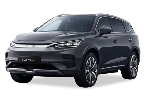 מגן לממיר קטליטי לBYD טאנג ‏