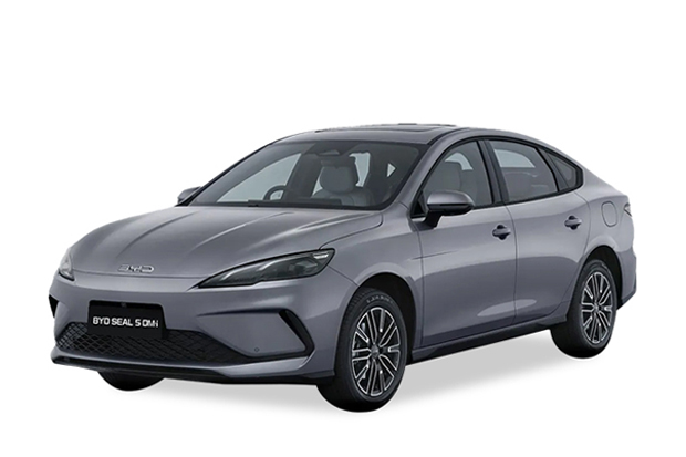 מגן לממיר קטליטי לBYD סיל 5 ‏