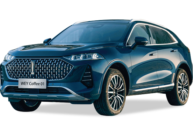 מגן לממיר קטליטי לWEY קופי 01 ‏