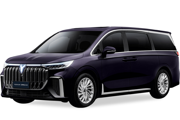 מגן לממיר קטליטי לוויה דרים ‏