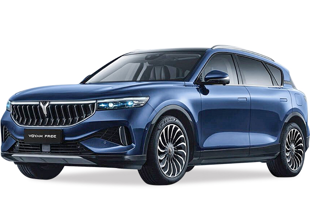 מגן לממיר קטליטי לוויה פרי ‏