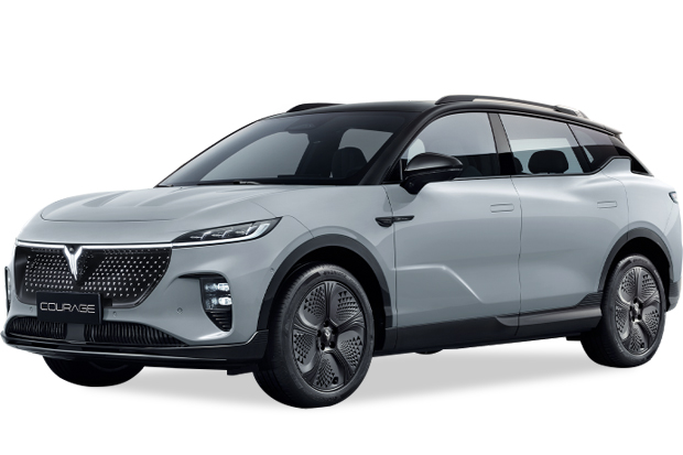 מגן לממיר קטליטי לוויה קארג' ‏