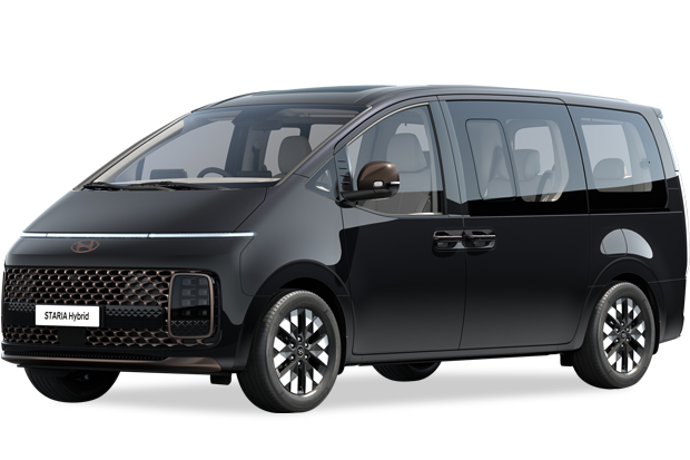 מגן לממיר קטליטי ליונדאי סטאריה ‏