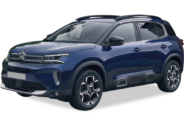 מגן לממיר קטליטי לסיטרואן C5 איירקרוס ‏