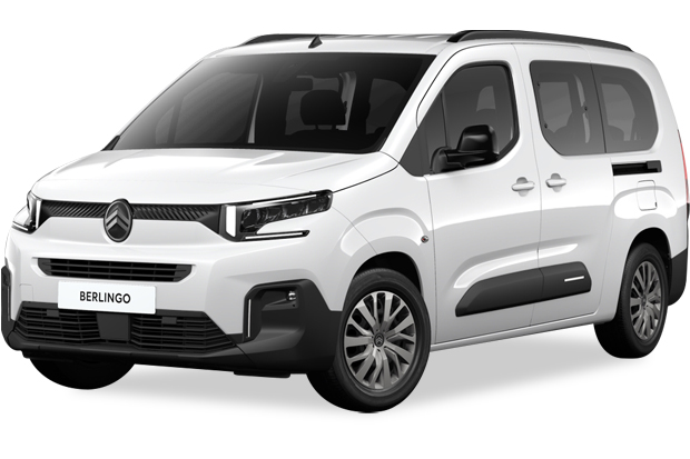 מגן לממיר קטליטי לסיטרואן ברלינגו ‏