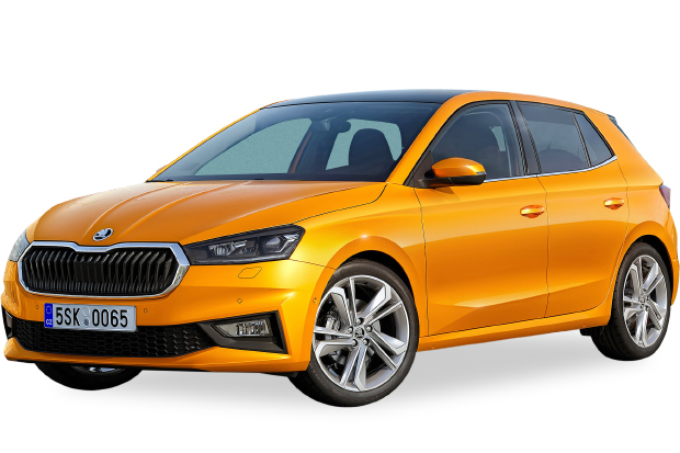 מגן לממיר קטליטי לסקודה פאביה ‏