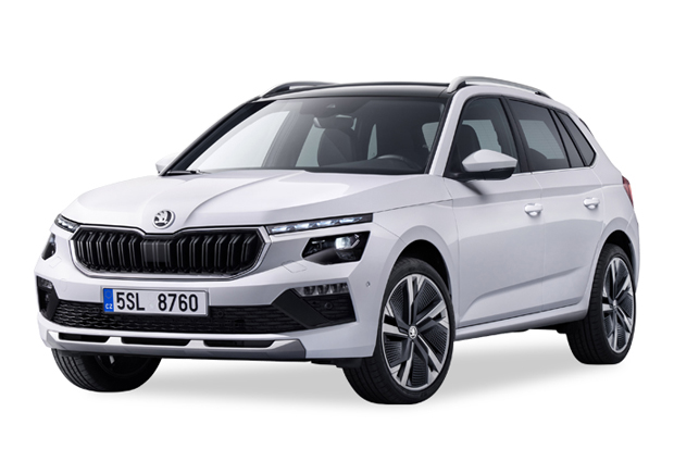 מגן לממיר קטליטי לסקודה קאמיק ‏