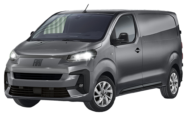 מגן לממיר קטליטי לפיאט סקודו ‏