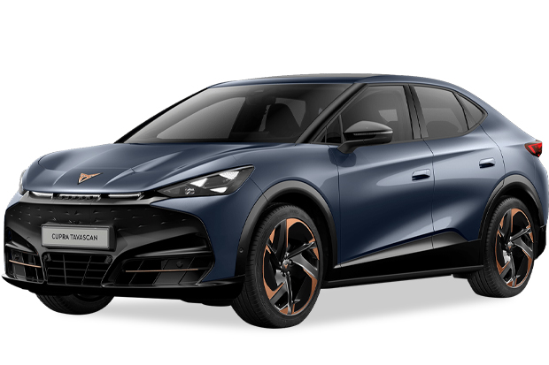 מגן לממיר קטליטי לקופרה טווסקאן ‏