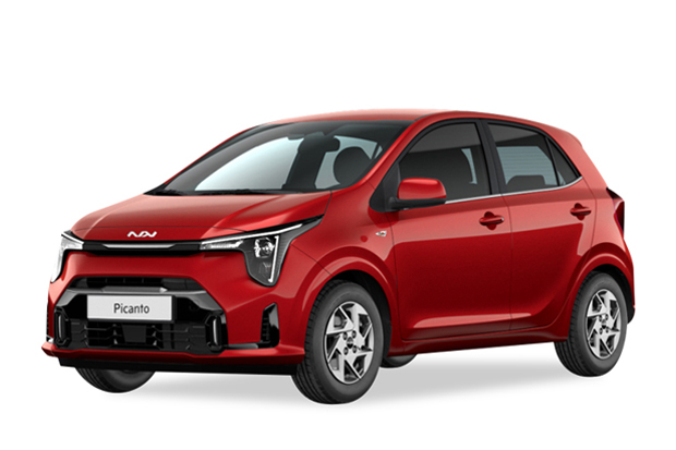 מגן לממיר קטליטי לקיה פיקנטו ‏