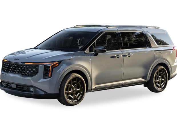 מגן לממיר קטליטי לקיה קרניבל ‏